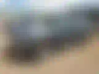 Vehicle Image- 2020 Hyundai Palisade