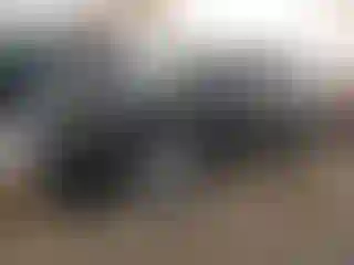Vehicle Image- 2020 Hyundai Palisade