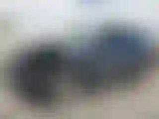 Vehicle Image- 2020 Hyundai Palisade