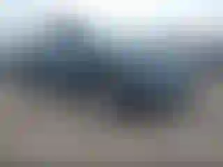 Vehicle Image- 2021 Hyundai Palisade