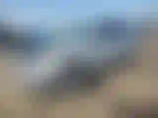 Vehicle Image- 2021 Hyundai Palisade
