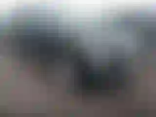 Vehicle Image- 2020 Hyundai Palisade