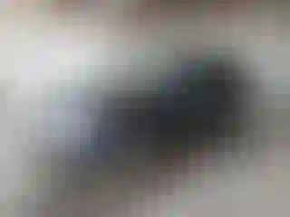 Vehicle Image- 2021 Hyundai Palisade