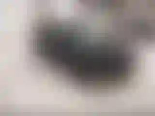 Vehicle Image- 2021 Hyundai Palisade