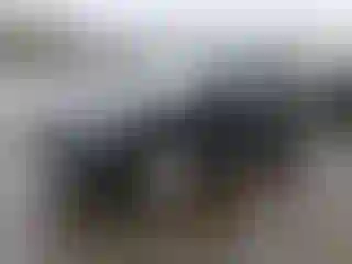 Vehicle Image- 2020 Hyundai Palisade