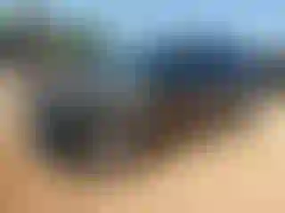 Vehicle Image- 2020 Hyundai Palisade