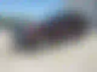 Vehicle Image- 2025 Hyundai Palisade