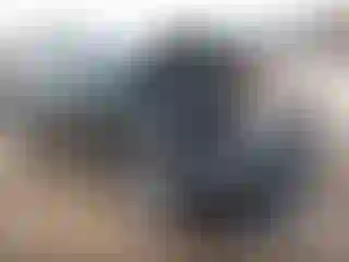 Vehicle Image- 2025 Hyundai Palisade