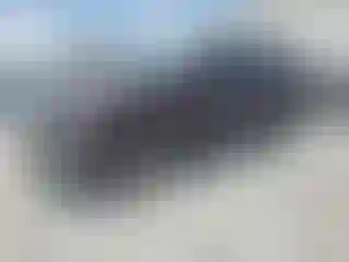 Vehicle Image- 2023 Hyundai Palisade