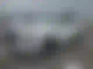 Vehicle Image- 2021 Hyundai Palisade