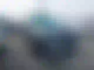 Vehicle Image- 2021 Hyundai Palisade