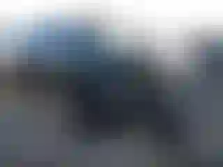 Vehicle Image- 2024 Hyundai Palisade