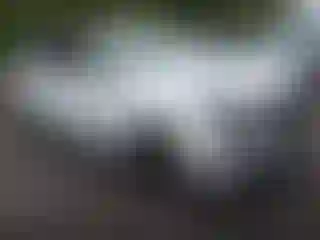 Vehicle Image- 2025 Hyundai Palisade