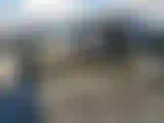 Vehicle Image- 2024 Hyundai Palisade