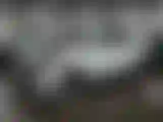 Vehicle Image- 2023 Hyundai Palisade