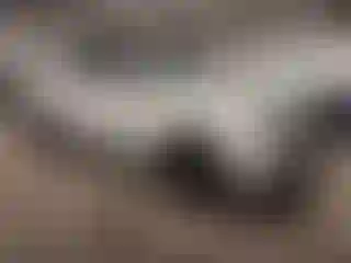 Vehicle Image- 2025 Hyundai Palisade