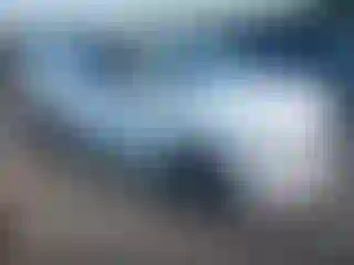 Vehicle Image- 2021 Hyundai Palisade