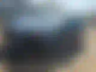 Vehicle Image- 2021 Hyundai Palisade