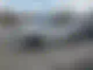 Vehicle Image- 2021 Hyundai Palisade