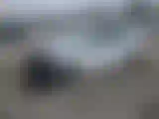 Vehicle Image- 2021 Hyundai Ioniq