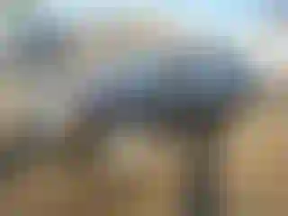 Vehicle Image- 2005 Hyundai Accent