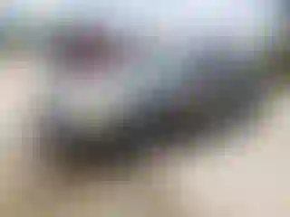 Vehicle Image- 2005 Hyundai Accent