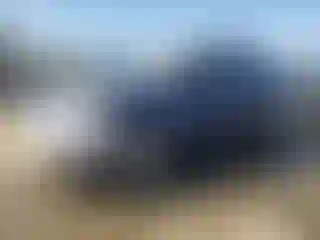 Vehicle Image- 2008 Hyundai Accent