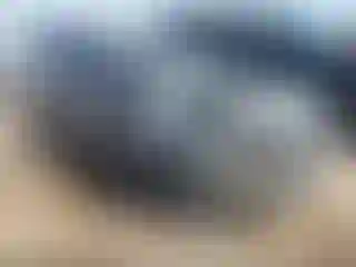 Vehicle Image- 2009 Hyundai Accent