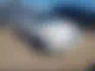 Vehicle Image- 2007 Hyundai Accent