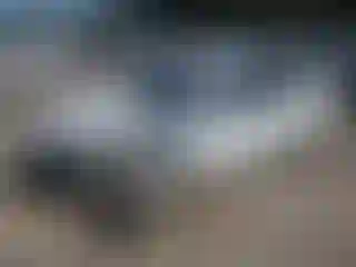 Vehicle Image- 2008 Hyundai Accent