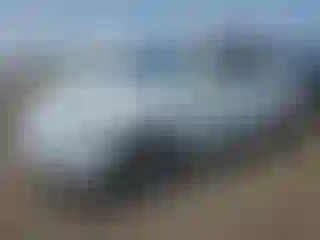 Vehicle Image- 2009 Hyundai Accent