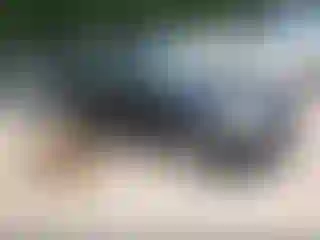 Vehicle Image- 2009 Hyundai Accent