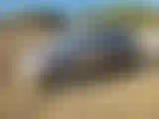 Vehicle Image- 2014 Hyundai Accent