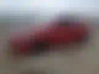Vehicle Image- 2014 Hyundai Accent