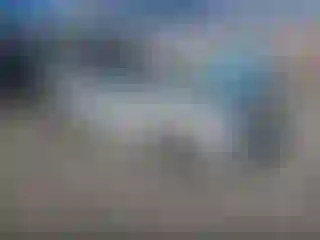 Vehicle Image- 2015 Hyundai Accent