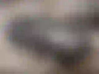 Vehicle Image- 2017 Hyundai Accent