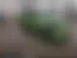 Vehicle Image- 2012 Hyundai Accent