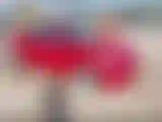 Vehicle Image- 2012 Hyundai Accent