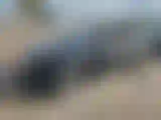 Vehicle Image- 2018 Hyundai Elantra