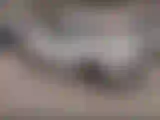 Vehicle Image- 2013 Hyundai Elantra