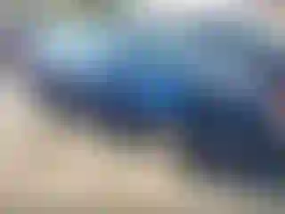 Vehicle Image- 2013 Hyundai Elantra