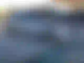 Vehicle Image- 2014 Hyundai Elantra