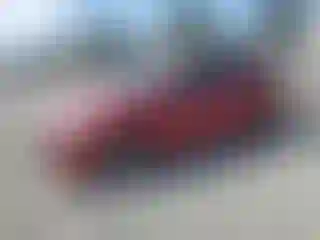 Vehicle Image- 2014 Hyundai Elantra