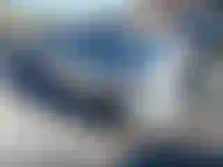 Vehicle Image- 2016 Hyundai Elantra