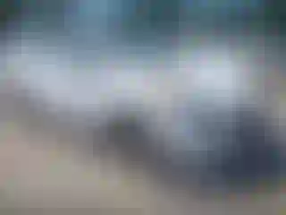 Vehicle Image- 2014 Hyundai Elantra