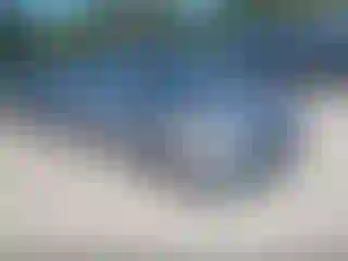 Vehicle Image- 2016 Hyundai Elantra