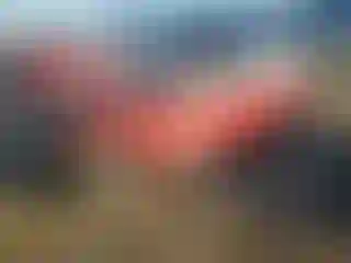 Vehicle Image- 2019 Hyundai Elantra