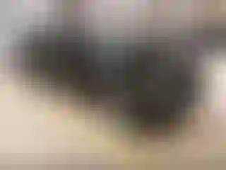 Vehicle Image- 2017 Hyundai Elantra