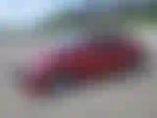 Vehicle Image- 2019 Hyundai Elantra