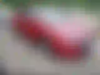 Vehicle Image- 2019 Hyundai Elantra